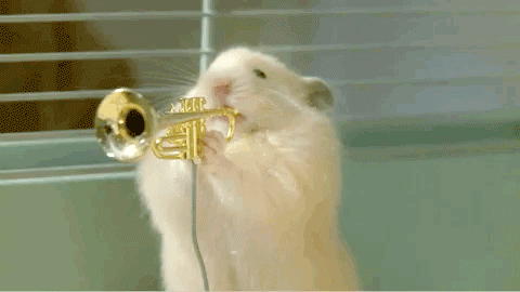 Hamsterleri Sevmek İçin 7 Sebep!