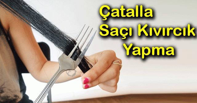 Erkekleri Etkilemekte Çatalların Önemi!
