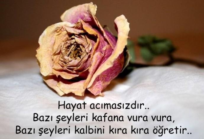 Hayatın Gerçek Acımasızlığını Yaşayanlar