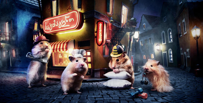 Dünyanın En İşsizi Olmaya Aday, 1984 Saat Uğraşarak Hamster Şehri Yapan Ekiple Tanışın!