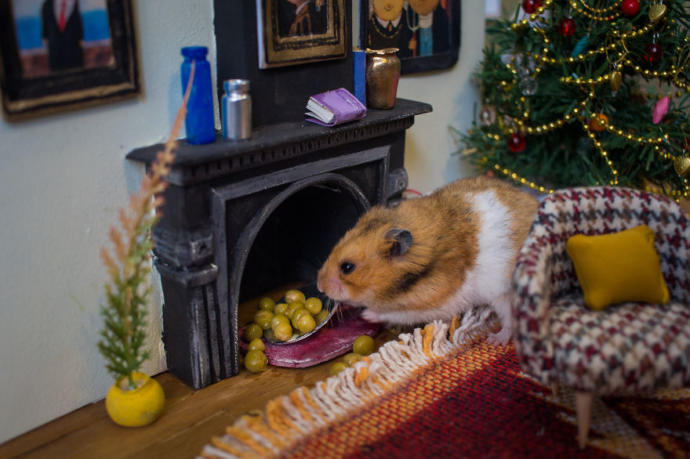 Dünyanın En İşsizi Olmaya Aday, 1984 Saat Uğraşarak Hamster Şehri Yapan Ekiple Tanışın!
