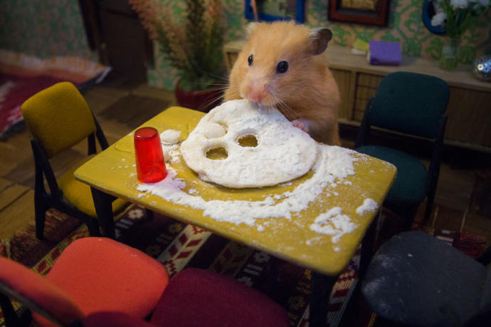 Dünyanın En İşsizi Olmaya Aday, 1984 Saat Uğraşarak Hamster Şehri Yapan Ekiple Tanışın!