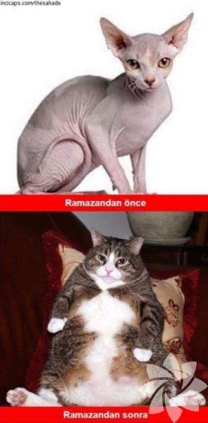 Ramazan ve Oruçla İlgili Eğlenceli Capsler!