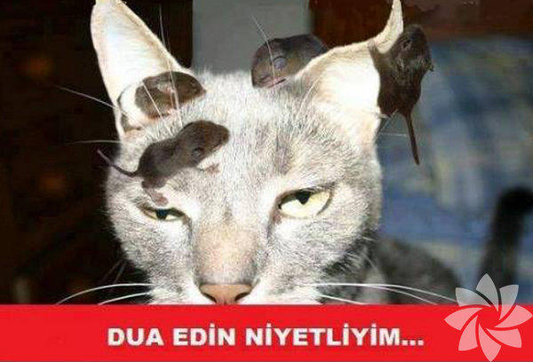 Ramazan ve Oruçla İlgili Eğlenceli Capsler!