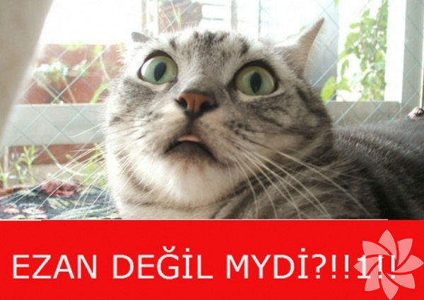 Ramazan ve Oruçla İlgili Eğlenceli Capsler!