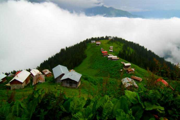 Karadeniz'in Nefesleri Kesen 4 Güzel Yaylasını Gördünüz Mü?