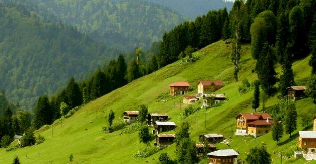 Karadeniz'in Nefesleri Kesen 4 Güzel Yaylasını Gördünüz Mü?