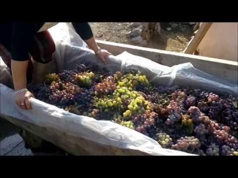 Güzel Bir Fiziğe Sahip Olmanın Tek Yolu