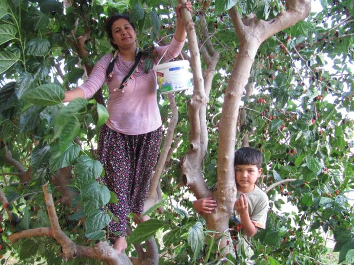 Güzel Bir Fiziğe Sahip Olmanın Tek Yolu