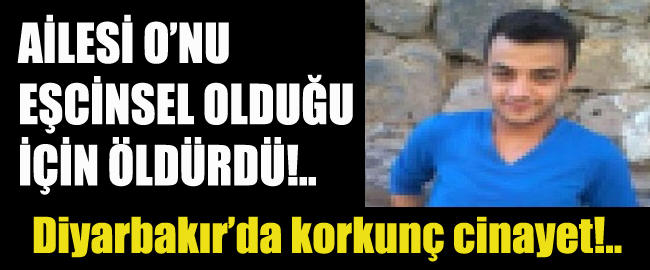 Homolara, Translara Karşı Duyulan Nefret