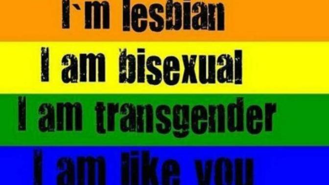 Homolara, Translara Karşı Duyulan Nefret