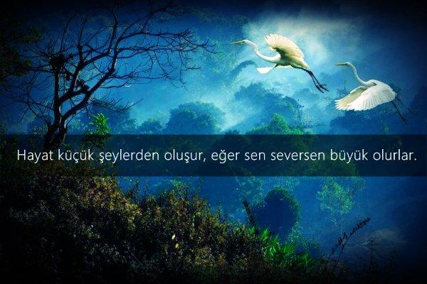 Sevdiklerinizi Kırmayın, Pişman Olmayın!