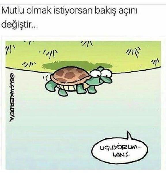 Hayatta Güçlü Durman İçin Çok Sebep Var!