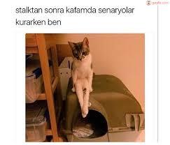 Başarılı Bir Stalker Olmanız İçin Adım Adım Uygulamanız Gereken 4 Şey!