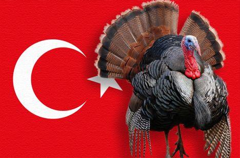 Yabancıların Gözüyle Türkiye ve Türkler!