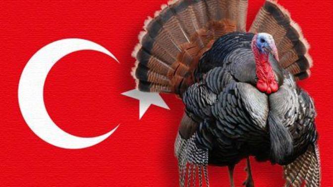 Yabancıların Gözüyle Türkiye ve Türkler!