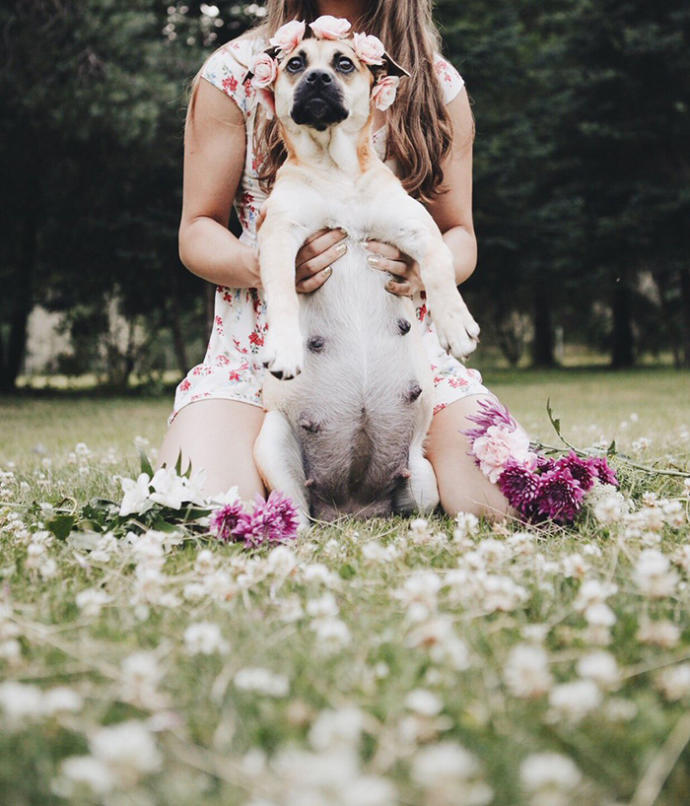 Hamileliğini Fotoğraf Çekimleriyle Ölümsüzleştiren Sevimli Köpek Fusee!