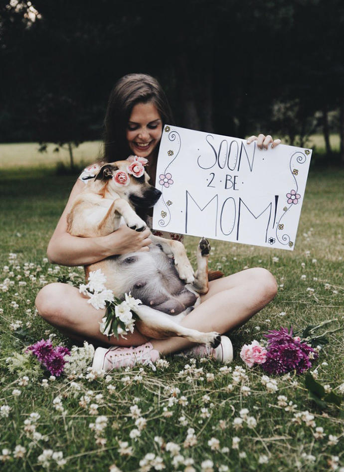 Hamileliğini Fotoğraf Çekimleriyle Ölümsüzleştiren Sevimli Köpek Fusee!