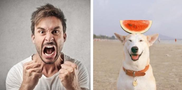Köpek Sahibi Olmanın Sevgili Yapmaktan Çok Daha Mantıklı Olduğunun 5 Kanıtı!