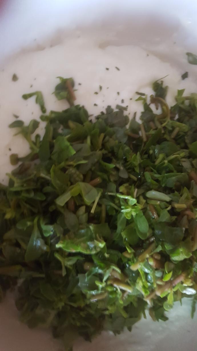 Yaz Sıcaklarının Serinleticisi: Semiz Otu Salatası