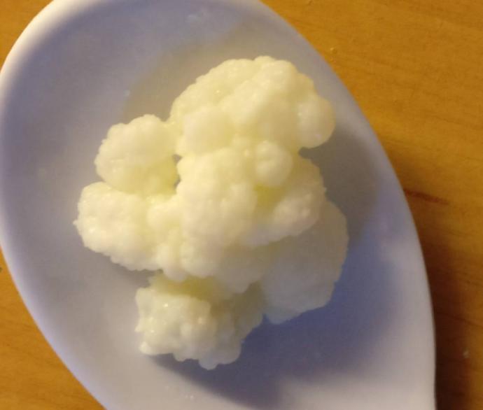 Kafkasya'dan Günümüze Uzanan Mucize: Kefir