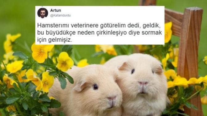 Herkesin Aradığı İlişki Budur: Monotonluğu Aşan Twitter Fenomeni!