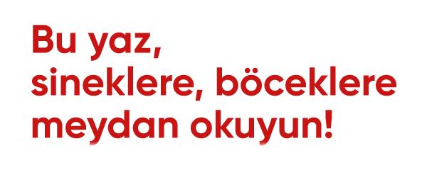 Uykumuzun İçine Eden Böceklerden Korunma Yolları