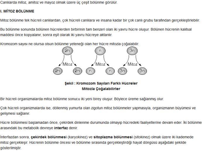Tuvalette Geçirdiğiniz Vakti Eğlenceye Çevirmenize Neden Olacak 7 Şey!