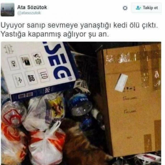 Bir Kadınla Birlikte Yaşadığınızda Başınıza Gelebilecek Şeyler