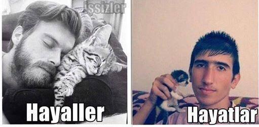 Hayaller Her Zaman Yaralar