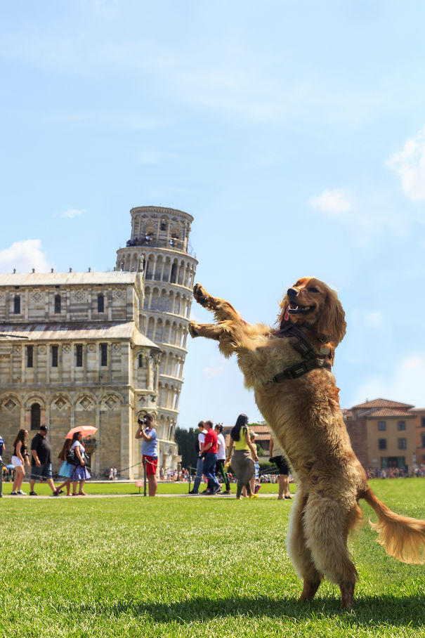 Pisa Kulesinin Ziyaretçileri ile İmtihanı Gözlerinizi Yaşartacak!