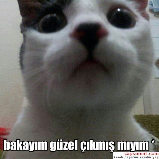 Kızlar Soruyor Üyelerinin Karakter Analizidir :)