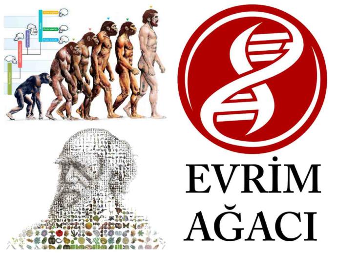 İlginizi Çeken Konulara Özel Takip Edilesi YouTube Kanalları