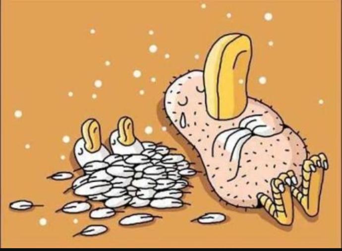 Pazarın Diğer Günlerden Farklı Olduğunun İspatları!