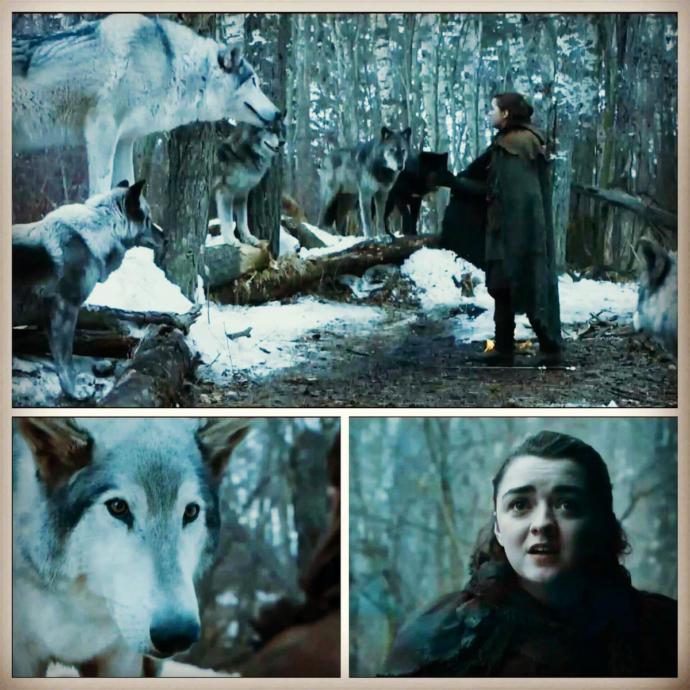 Ağır Spoiler: Game of Thrones S7 2. Bölüm İncelemesi