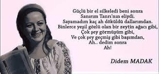 Annesizlikten Şair Olan Kadın: Didem Madak