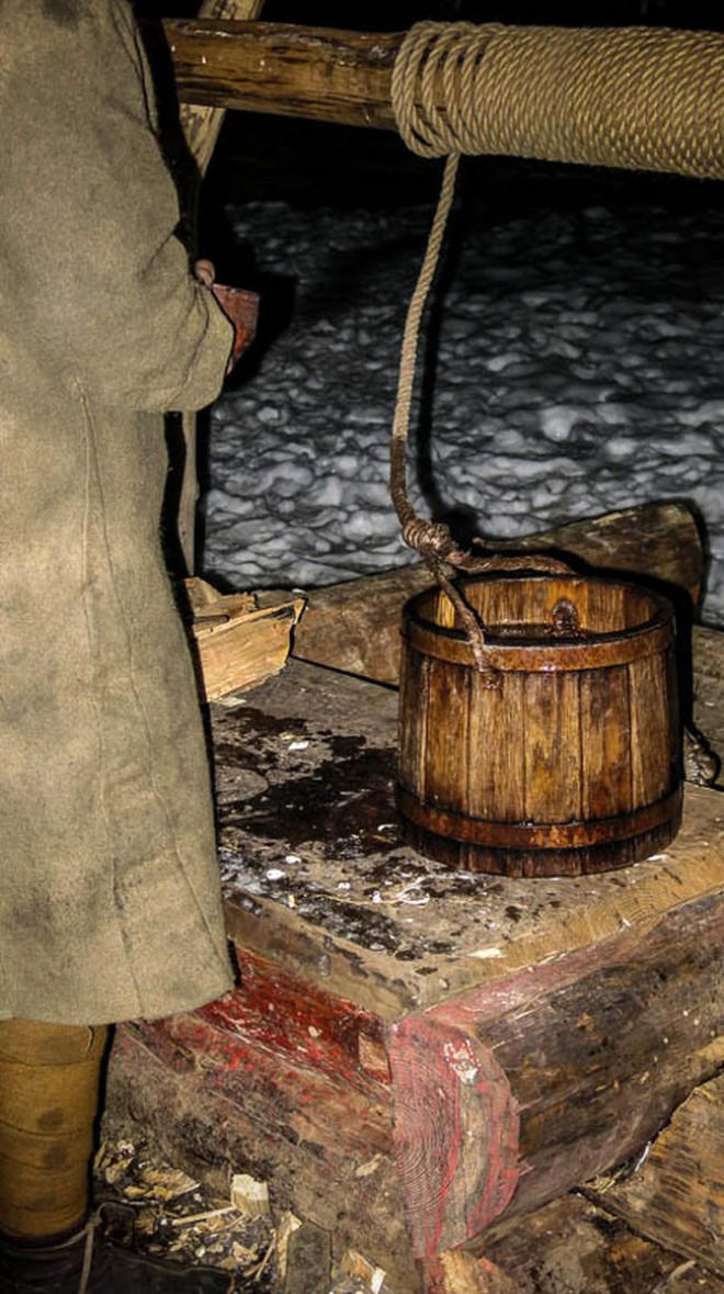 Her Şeyi Reddetti, Eksi 40 Derecedeki Ormana Yerleşti!