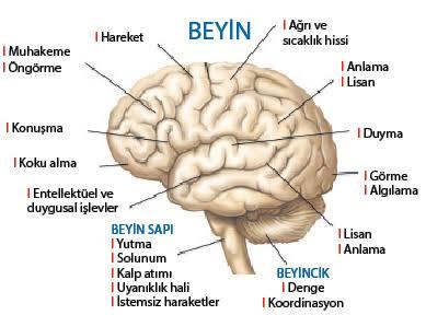 İnsanları Feminizmden Soğutan, "Dur Yavaş" Deyip Geri Adım Attıran, Doğru Bilinen 6 Yanlış