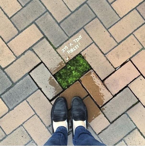 Sokaklarda Rastgele Fotoğraflanmış 10 Eğlenceli Vandalizm Eylemi