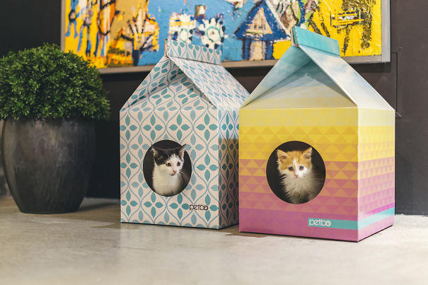 Kedi Seven Arkadaşınıza Hediye Seçecekseniz Bu Bence Tam Size Göre!