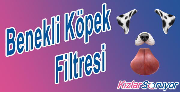 Kızların Hunharca Kullandıkları Snapchat Filtrelerine Göre Karakter Özetleri!