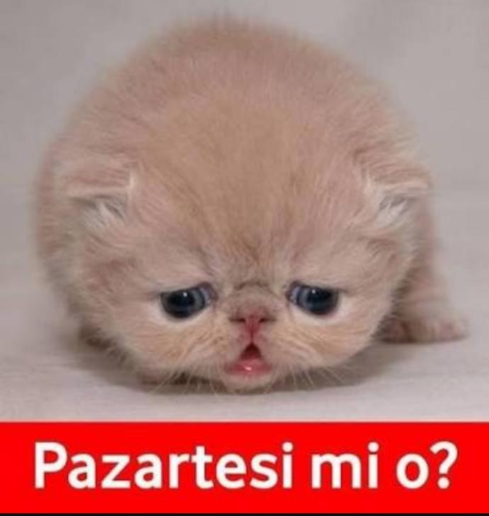 Haftanın Başı, Tüm Vazgeçişlerin ve Başlangıçların Günü Cenabet Pazartesi