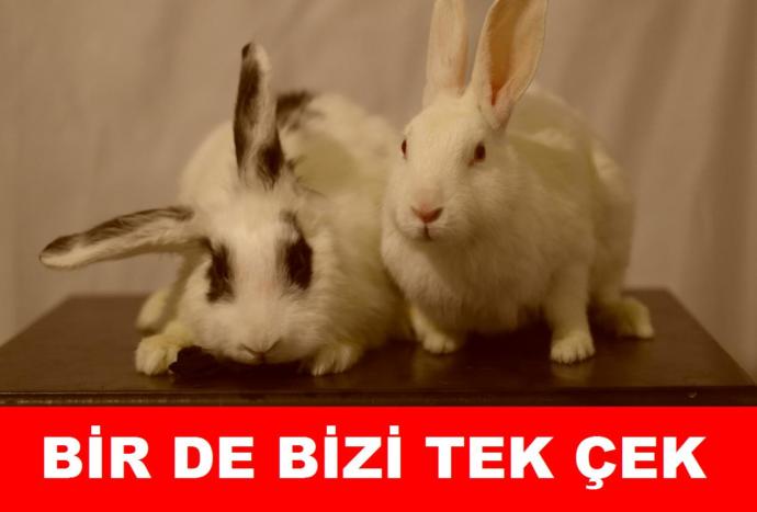 Ben de Kız Babası Olmanın Mutluluğunu, Hatta Daha Fazlasını Tattım!