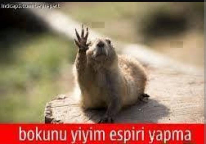 Şaka, Espri ve Dalga Geçmek Aynı Şeyler Değildir!