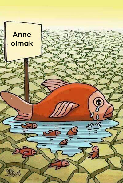 Anneliğin Nasıl Bir Duygu Olduğunu Tavşanlardan Öğrenin!
