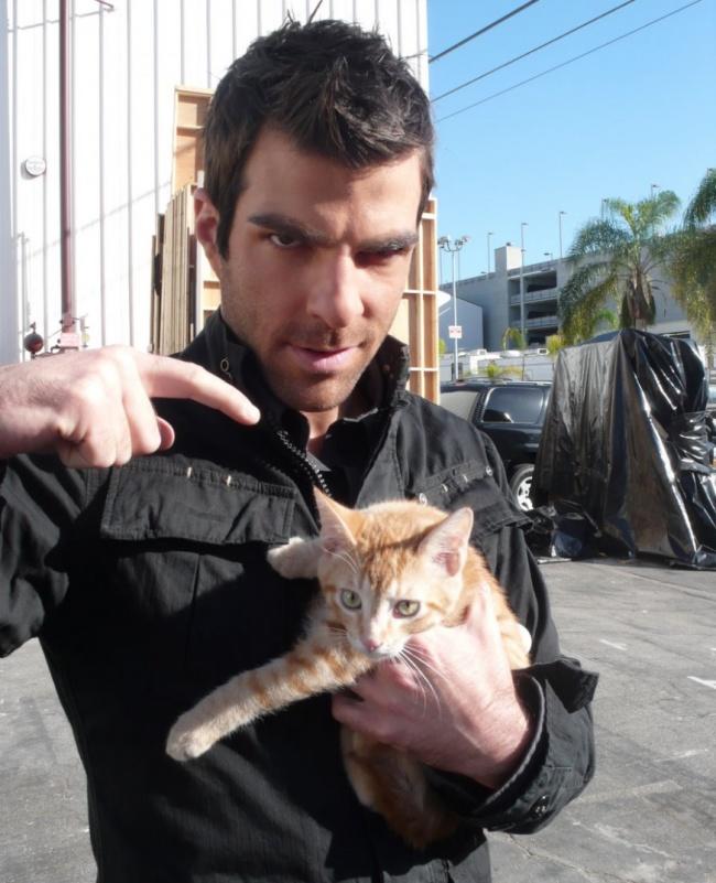 Kedi-Sever Erkeklerin Çok Daha Karizmatik Olduğunu Gösteren Ünlüler!