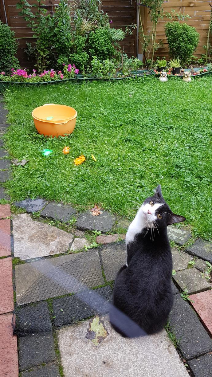 Kedi-Sever Erkeklerin Çok Daha Karizmatik Olduğunu Gösteren Ünlüler!