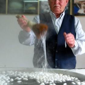 Tırtıldan Kelebeğe İpek Böceğinin Öyküsü