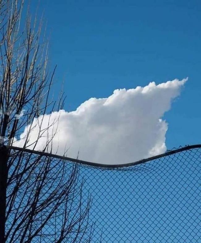 "Kesin İp Var!" Denilecek Tarzda Olağanüstü Gerçek Fotoğraflar