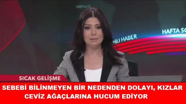 Evdeki Malzemelerle Hızlı ve Uzun Süreli Bronzlaşmanın Yolu!